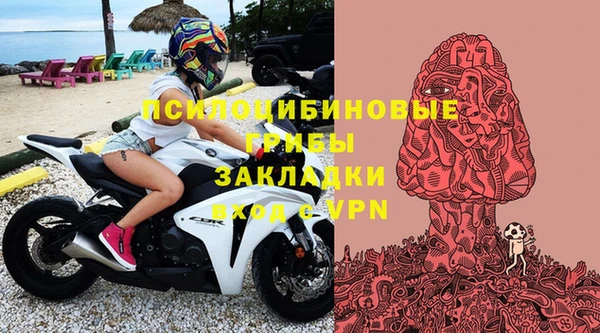 a pvp Дмитриев