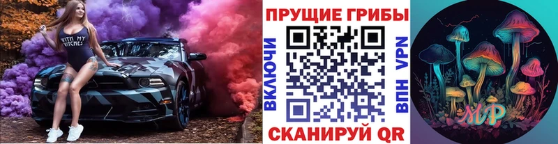 Псилоцибиновые грибы MAGIC MUSHROOMS  Купить где  Пласт 